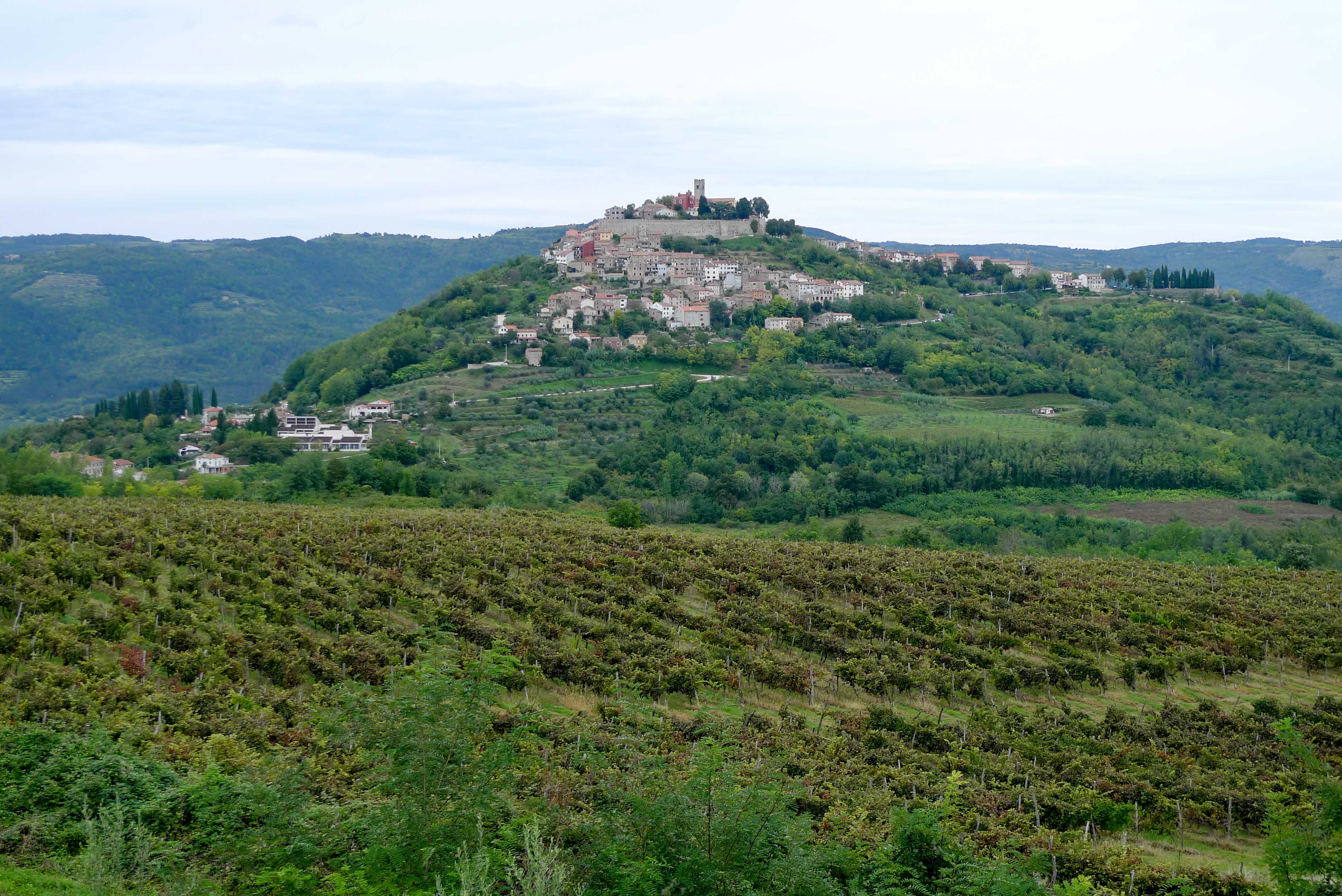 Motovun.jpg