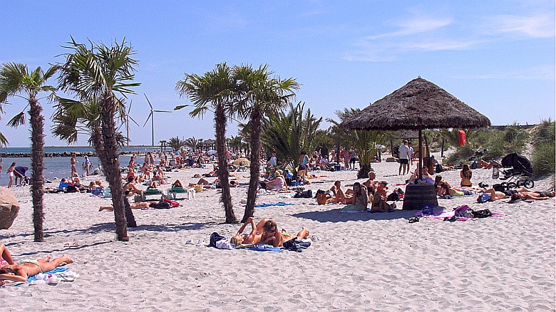 plaża1.jpg