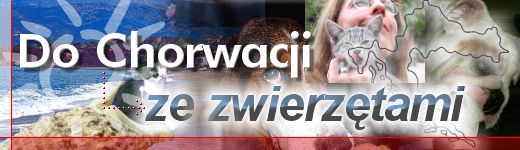 Rozmiar: 26275 bajt�w