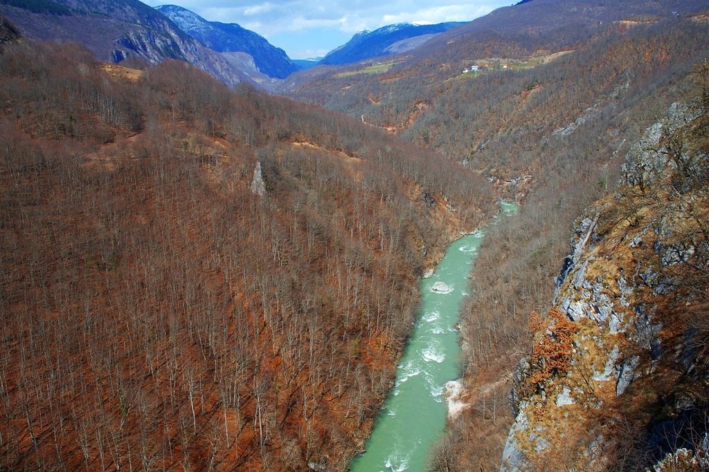 DSC_1393JPEG 006.jpg