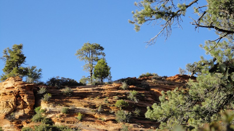 DSC03135 (Kopiowanie).JPG