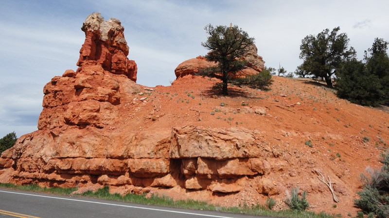 DSC03296 (Kopiowanie).JPG