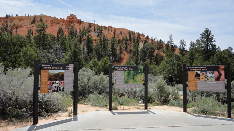 DSC03307 (Kopiowanie).JPG