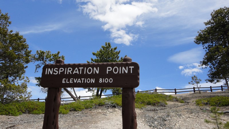 DSC03435 (Kopiowanie).JPG