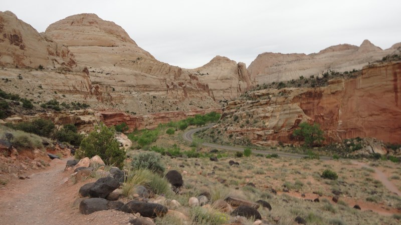 DSC03743 (Kopiowanie).JPG