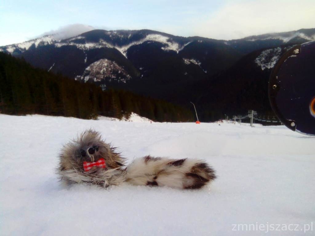 IMG_20150123_122253 (2).JPG