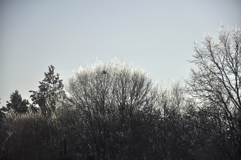 _DSC2064.jpg