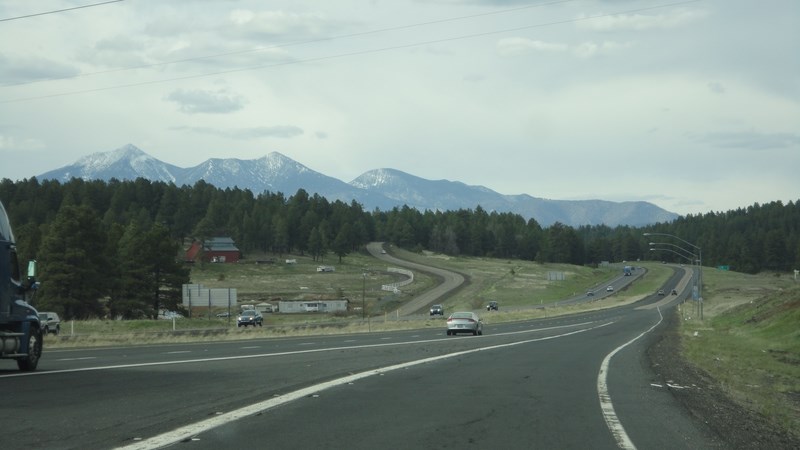 495 (Kopiowanie).JPG