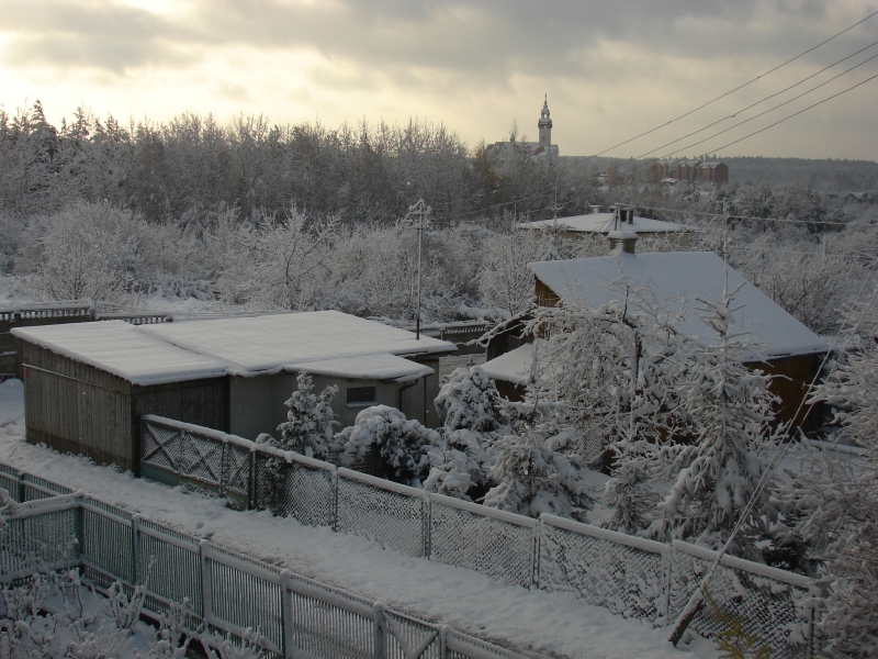 DSC08175.jpg