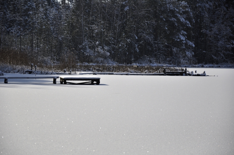 _DSC2140.jpg
