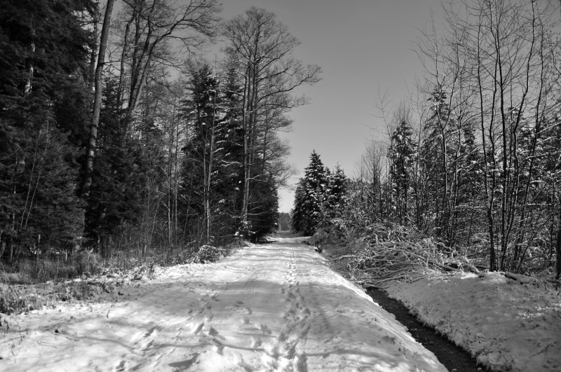 _DSC2163.jpg