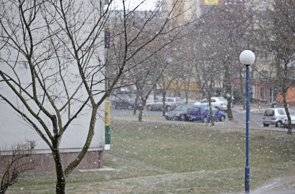 _MG_3490a.JPG