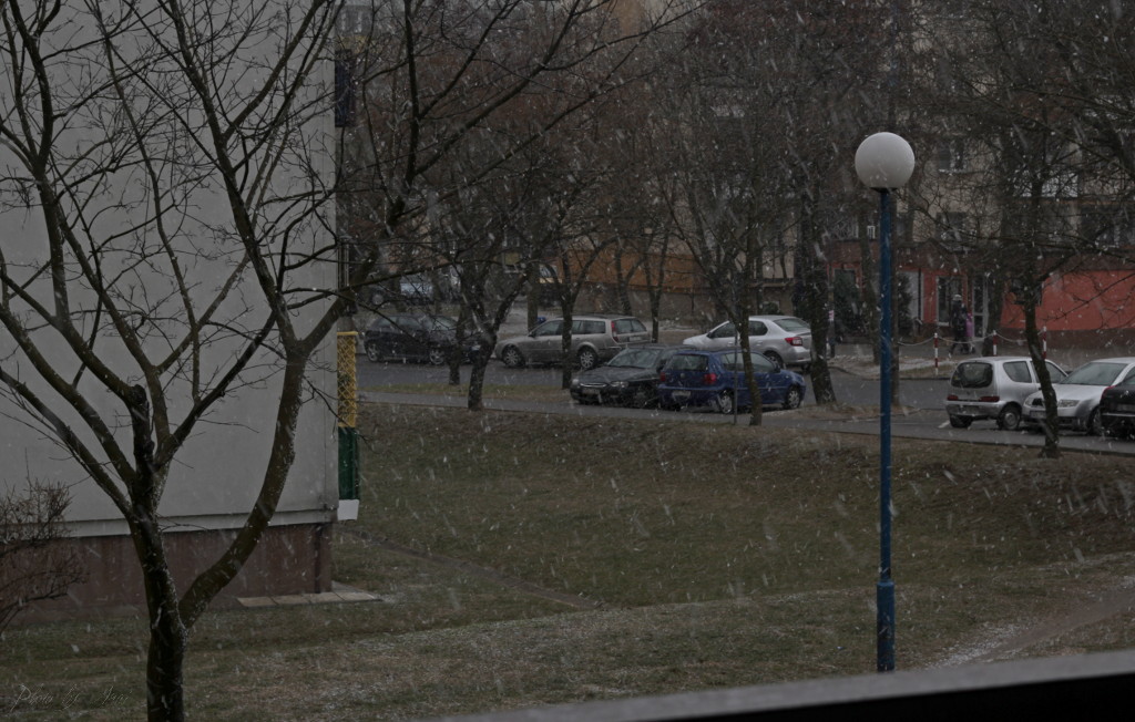 _MG_3491a.JPG
