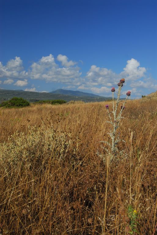 GRECJA 2014 (202).JPG