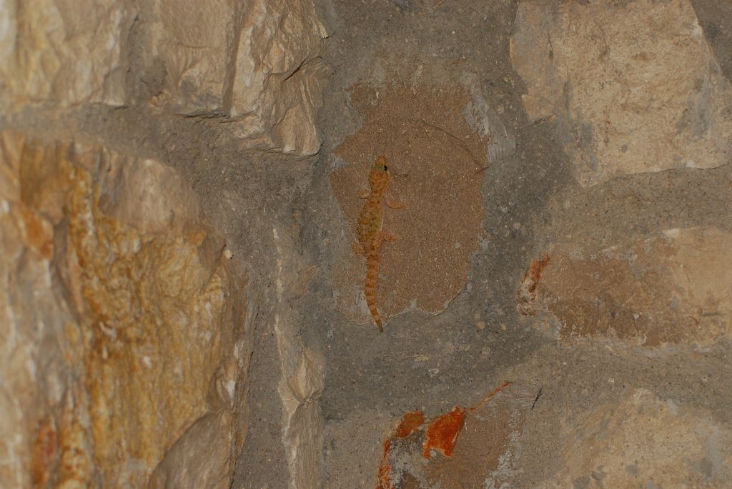 GRECJA 2014 (210).JPG