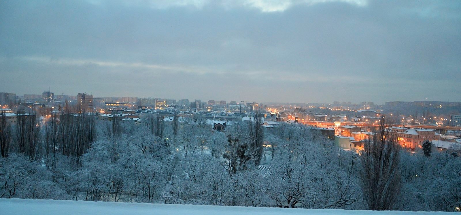 DSC_0141 (Kopiowanie).JPG