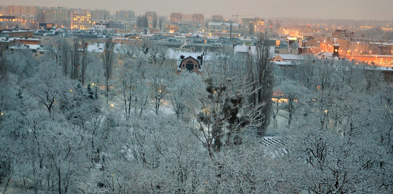 DSC_0142 (Kopiowanie).JPG