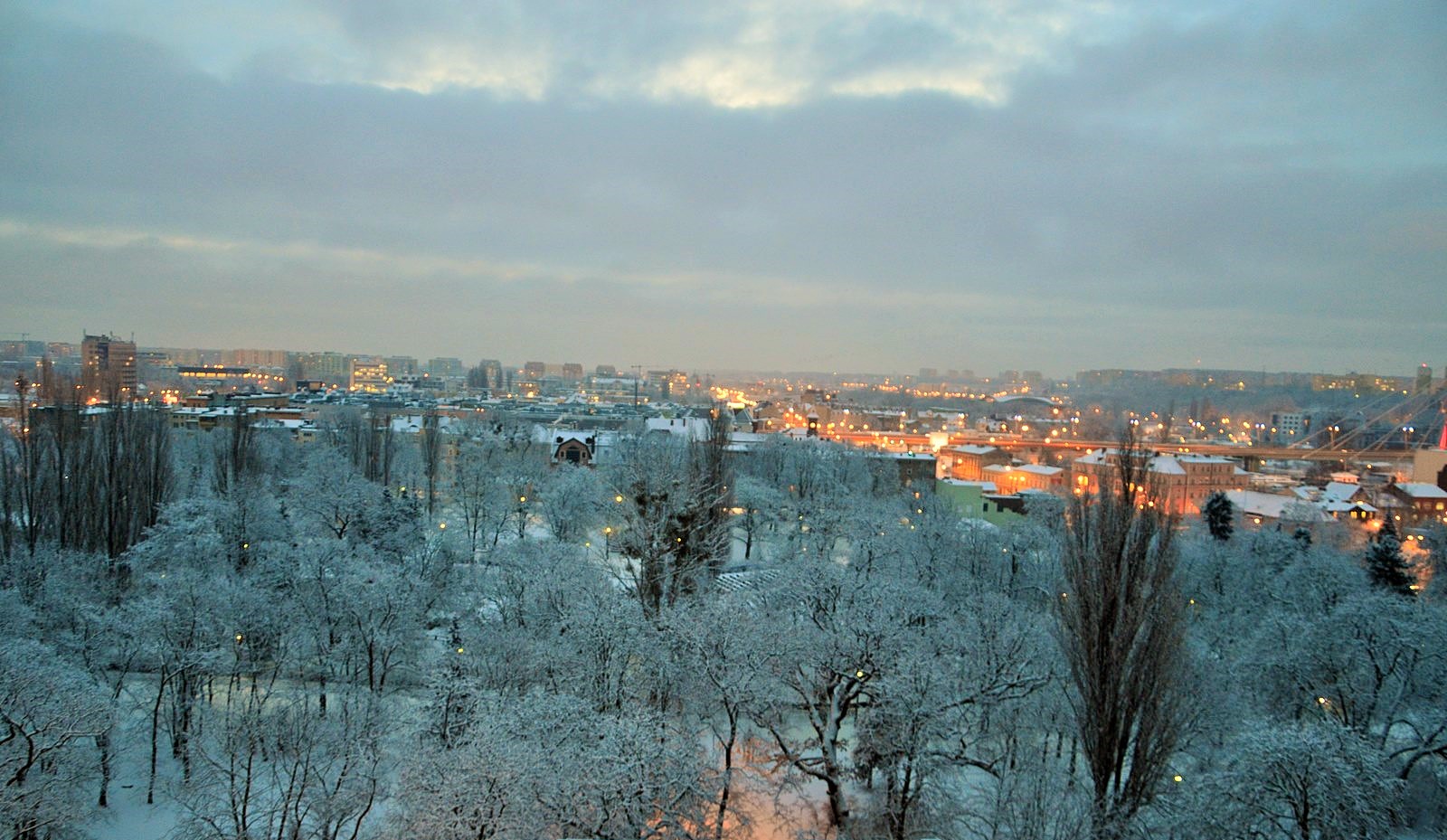 DSC_0143 (Kopiowanie).JPG