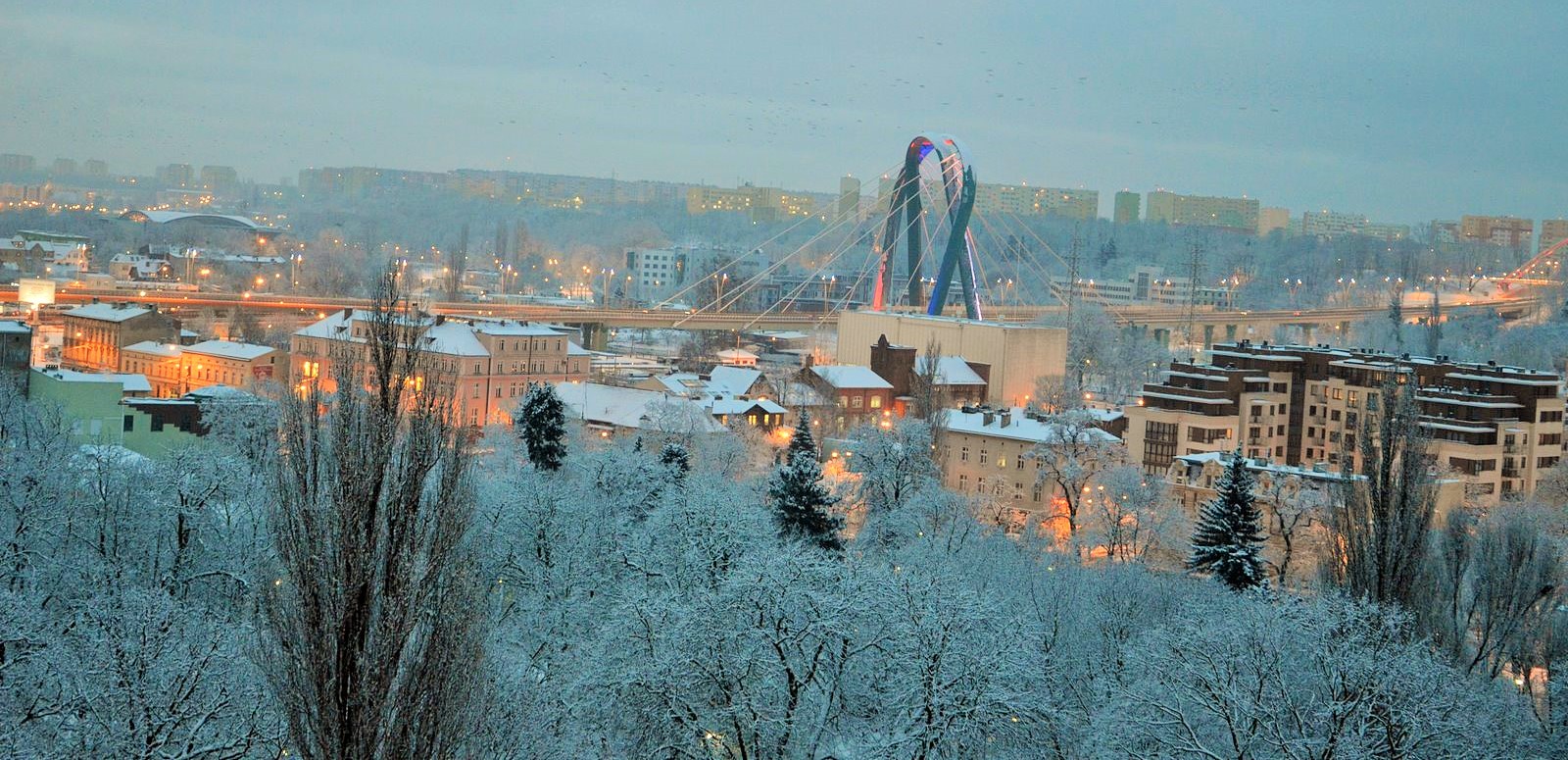 DSC_0146 (Kopiowanie).JPG