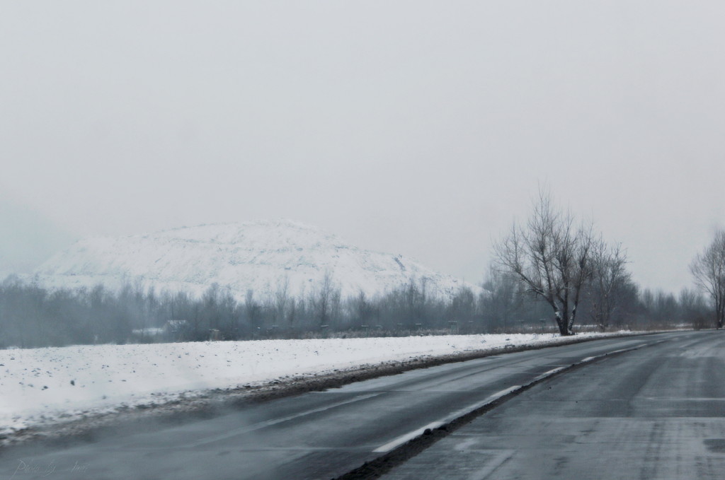 _MG_3174a.JPG