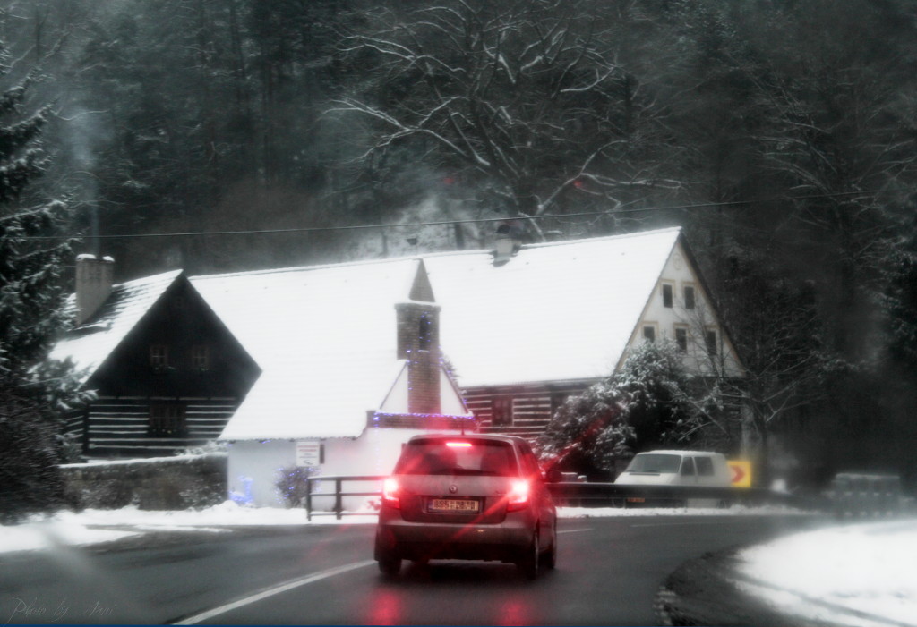 _MG_3200a.JPG