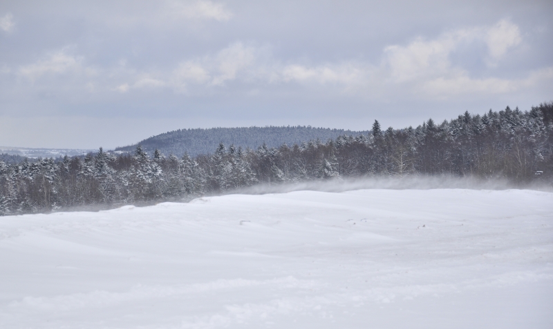 _DSC2311.jpg