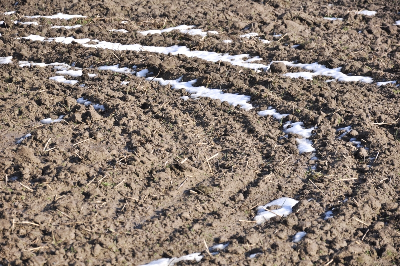 image154.jpg