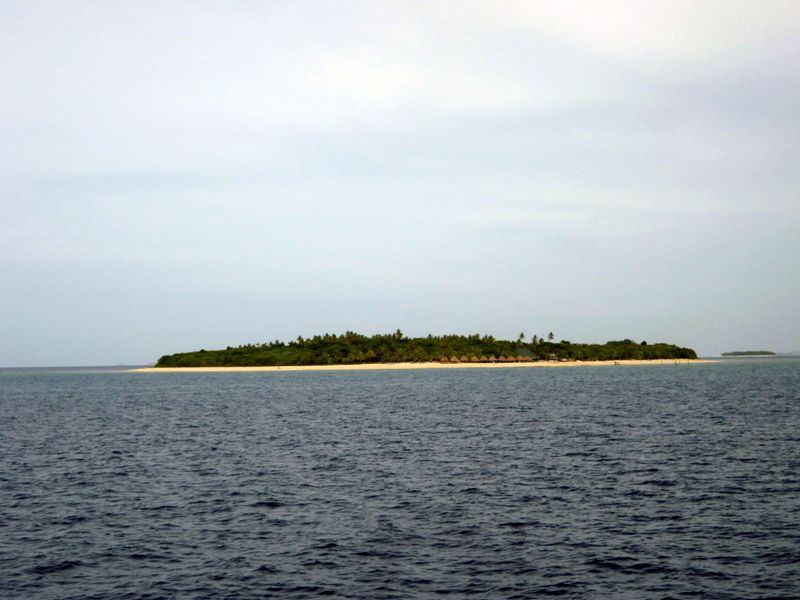 P1060946i.jpg