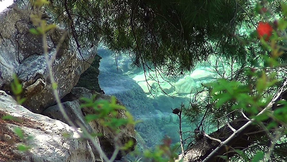 20120607092425 (1).jpg