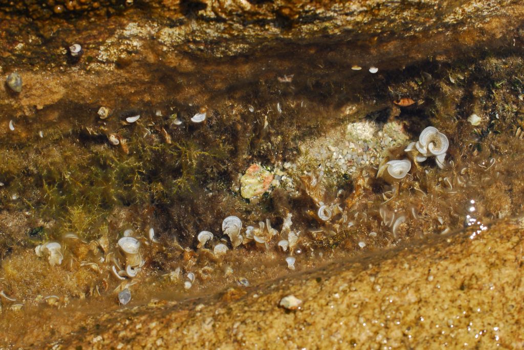 GRECJA 2014 (1570).JPG