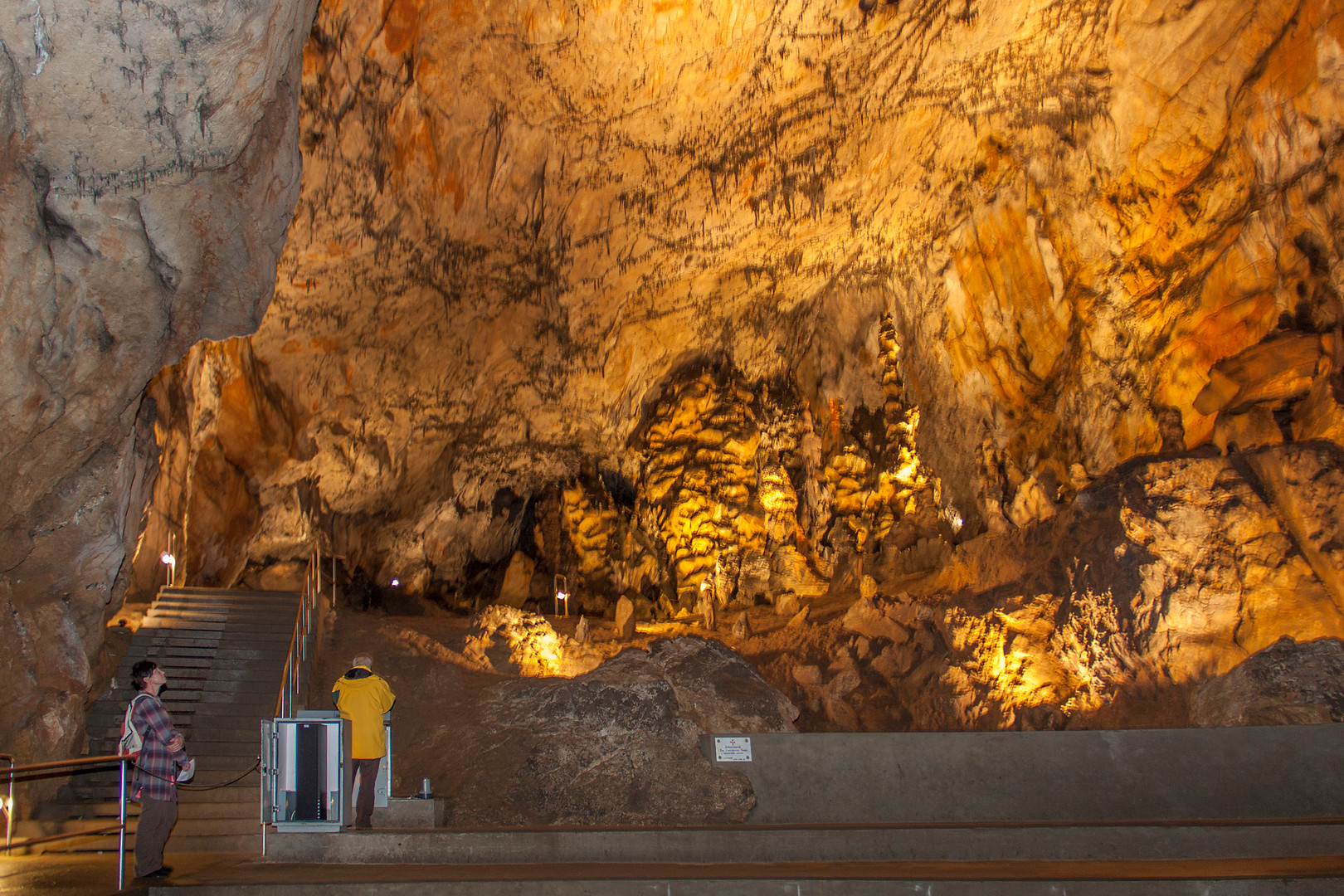 IMG_0316.jpg IMG_0316.jpg