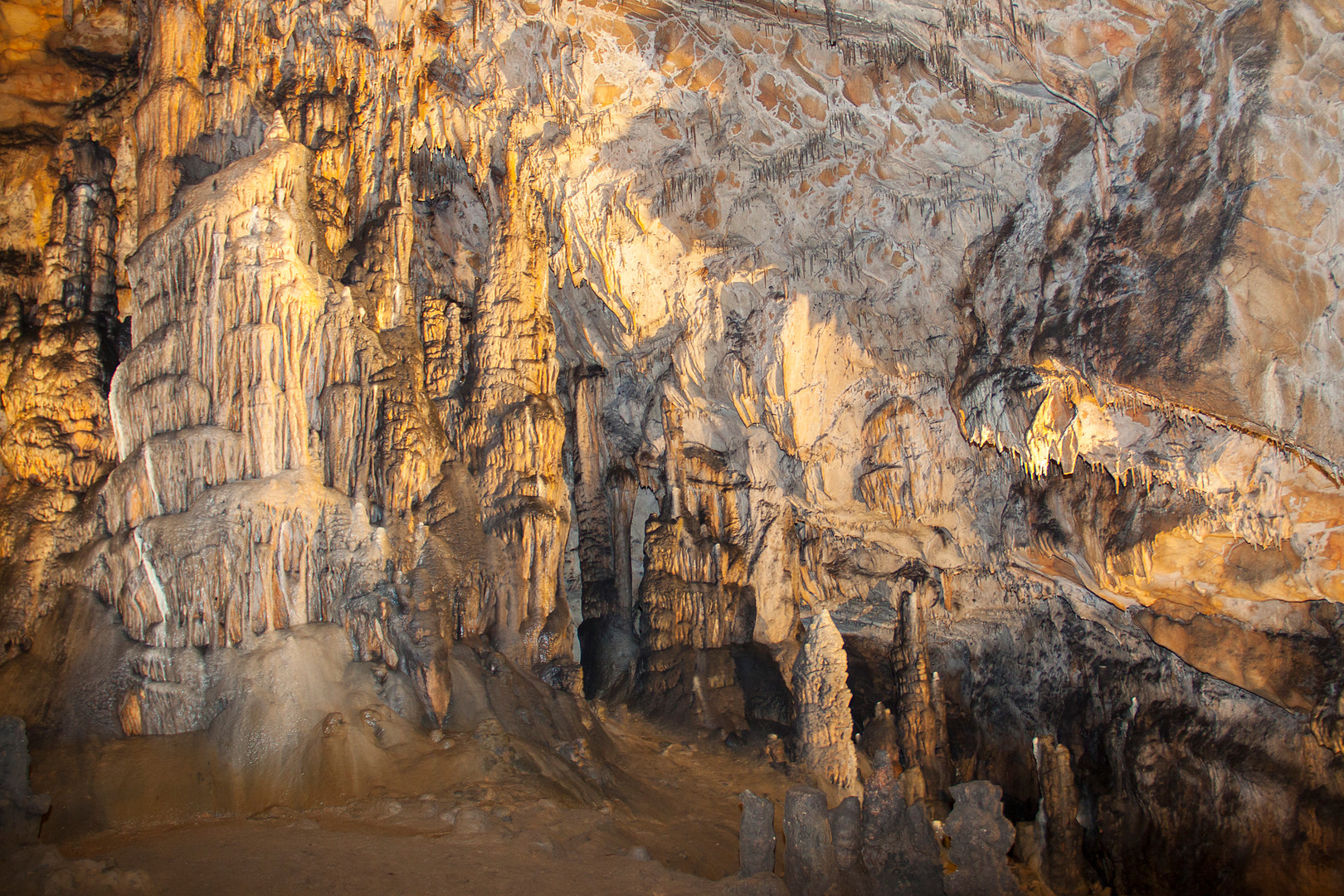 IMG_0346.jpg IMG_0346.jpg