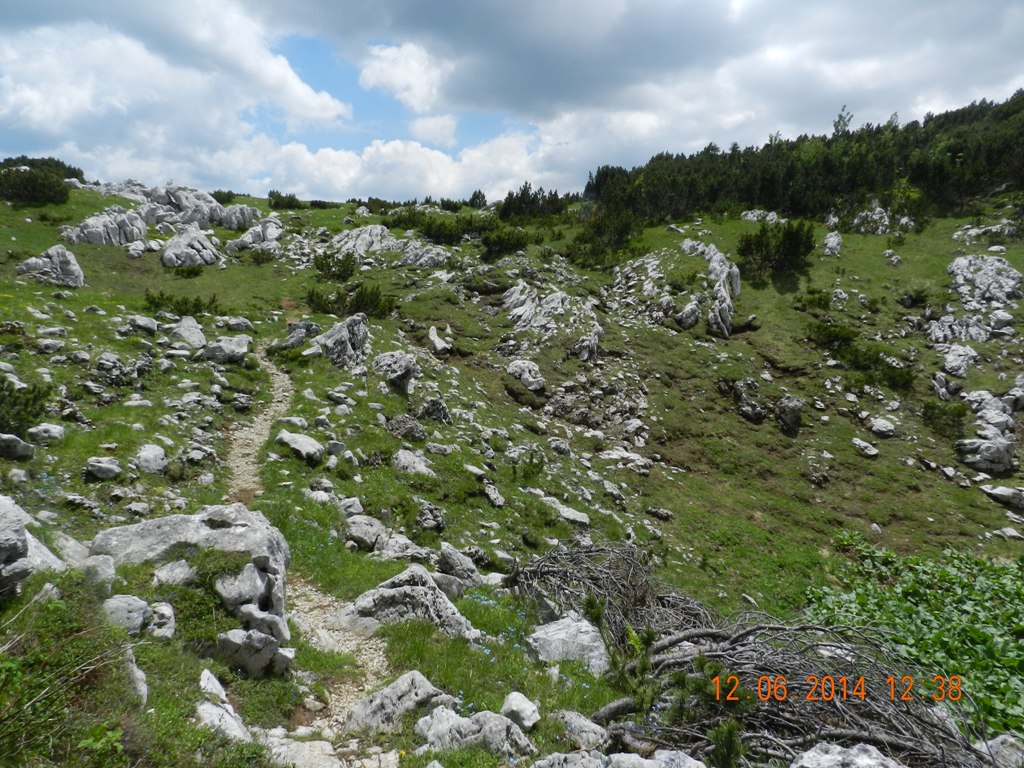 DSCN5218 — kopia.JPG