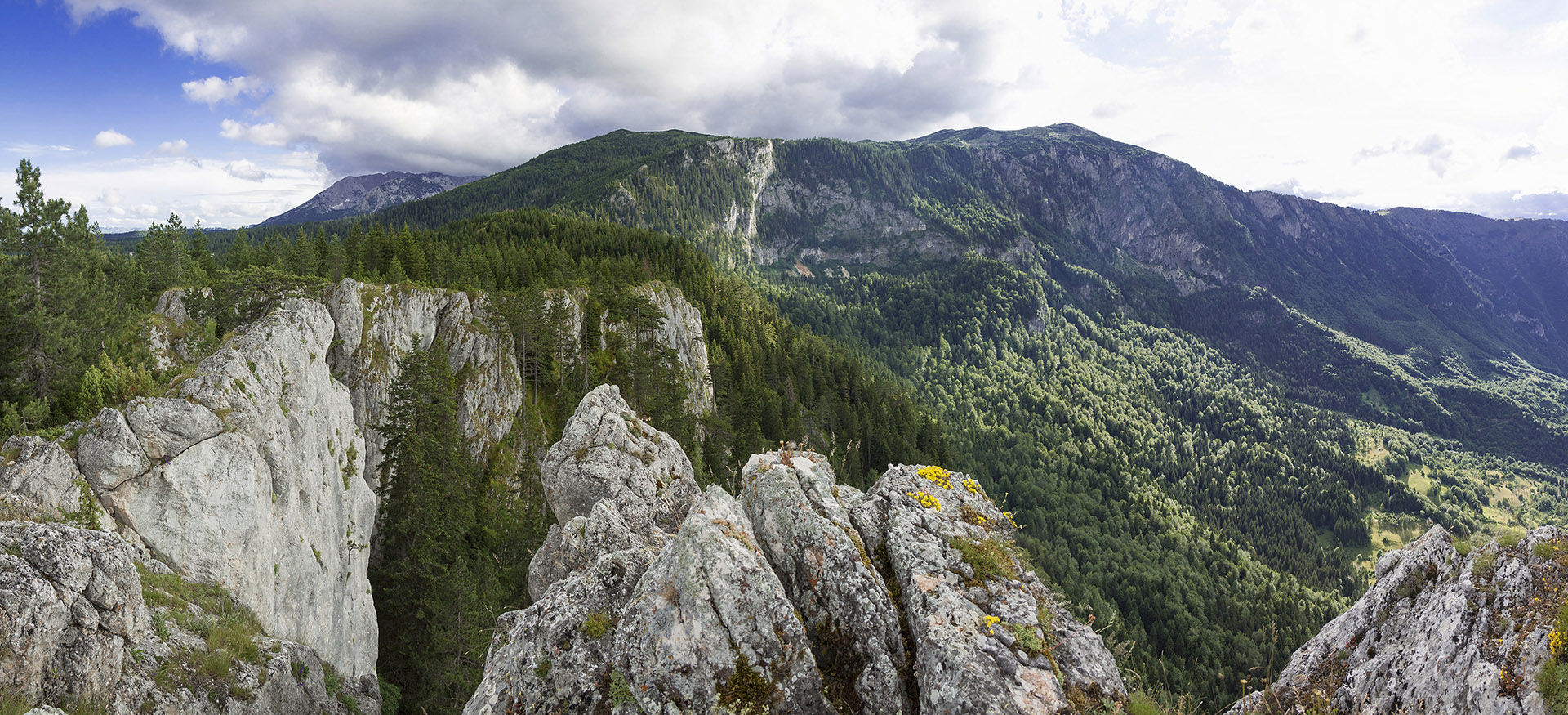 Panorama Curevac2.jpg