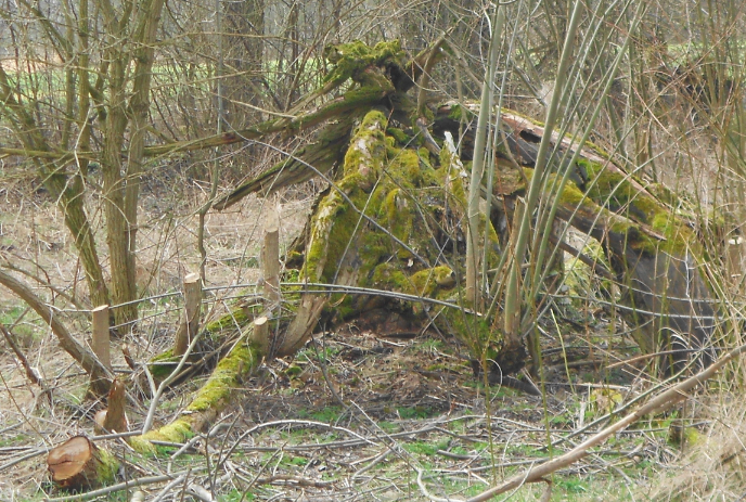 Zrzut ekranu 2015-04-9 o 21.48.49.png