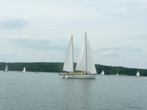 12076371[1].jpg