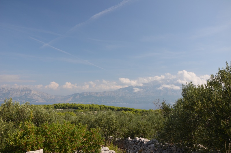 Droga w nieznane / DSC_0426.JPG DSC_0426.JPG