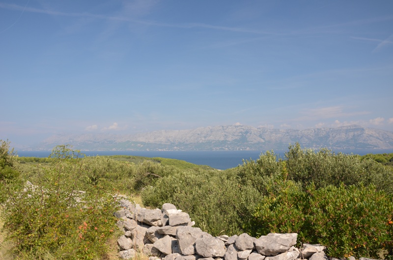 Droga w nieznane / DSC_0427.JPG DSC_0427.JPG