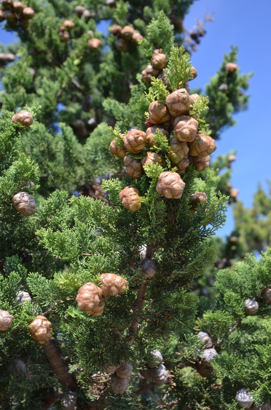 Droga w nieznane / DSC_0430.JPG DSC_0430.JPG