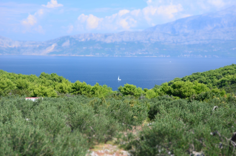 Odwrót :) / DSC_0439.JPG DSC_0439.JPG