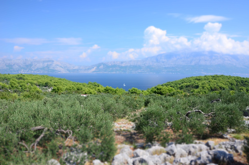 Odwrót :) / DSC_0440.JPG DSC_0440.JPG