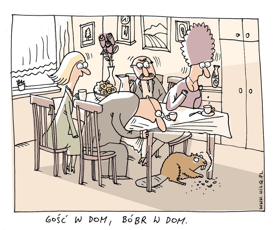 bóbr.jpg