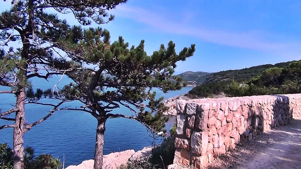 20140810163701 (2).jpg