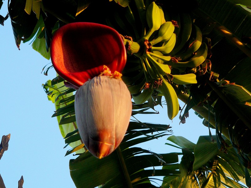 życzę owocnej współpracy.JPG