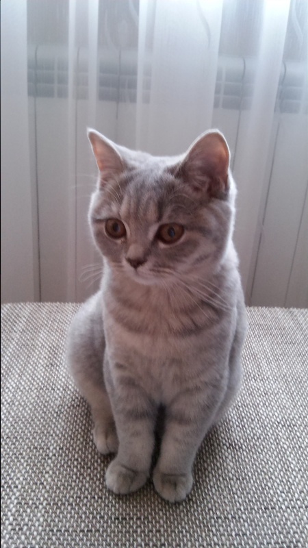 11 - Georgia 18.10.2014.jpg