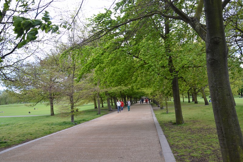 DSC_0859 (Kopiowanie).JPG