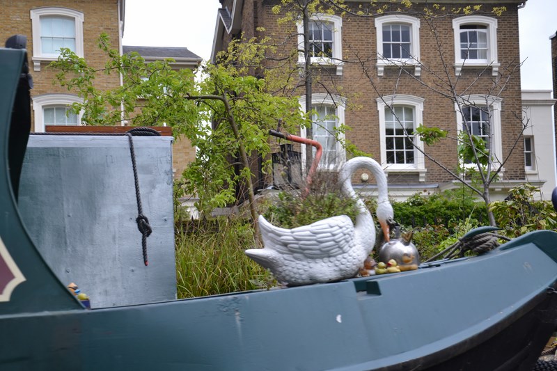 DSC_0486 (Kopiowanie).JPG