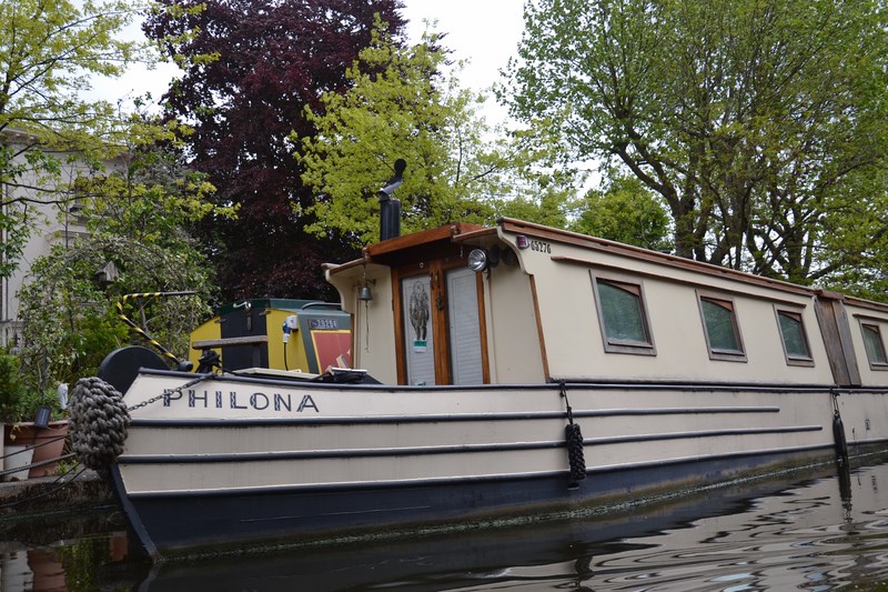 DSC_0487 (Kopiowanie).JPG