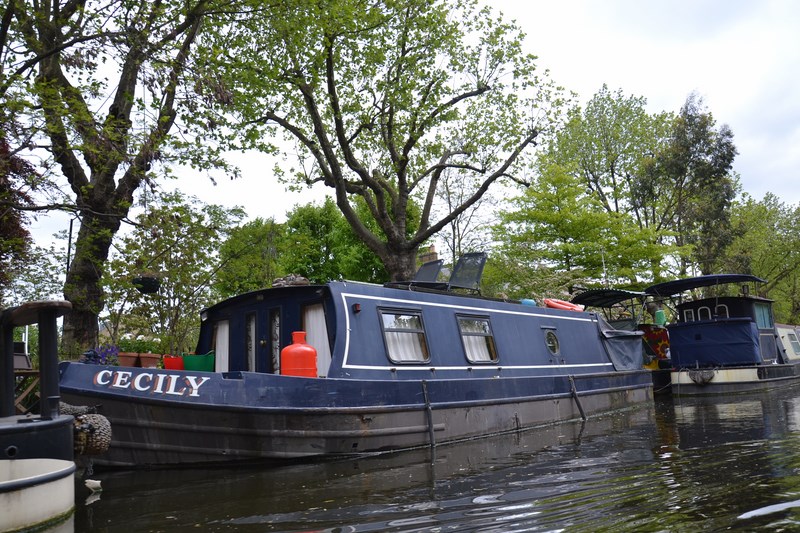 DSC_0488 (Kopiowanie).JPG