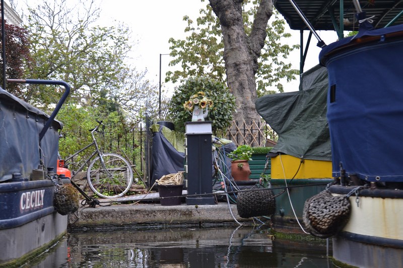 DSC_0490 (Kopiowanie).JPG